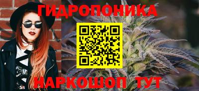 прущий лед Кингисепп